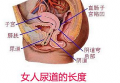 女性尿道口疼是怎么回事